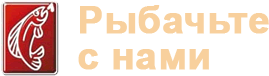 logo-465c4ac090341d0c208035d166de5f379acd4ec7b8555582552ade35aeccf6a3-1.png
